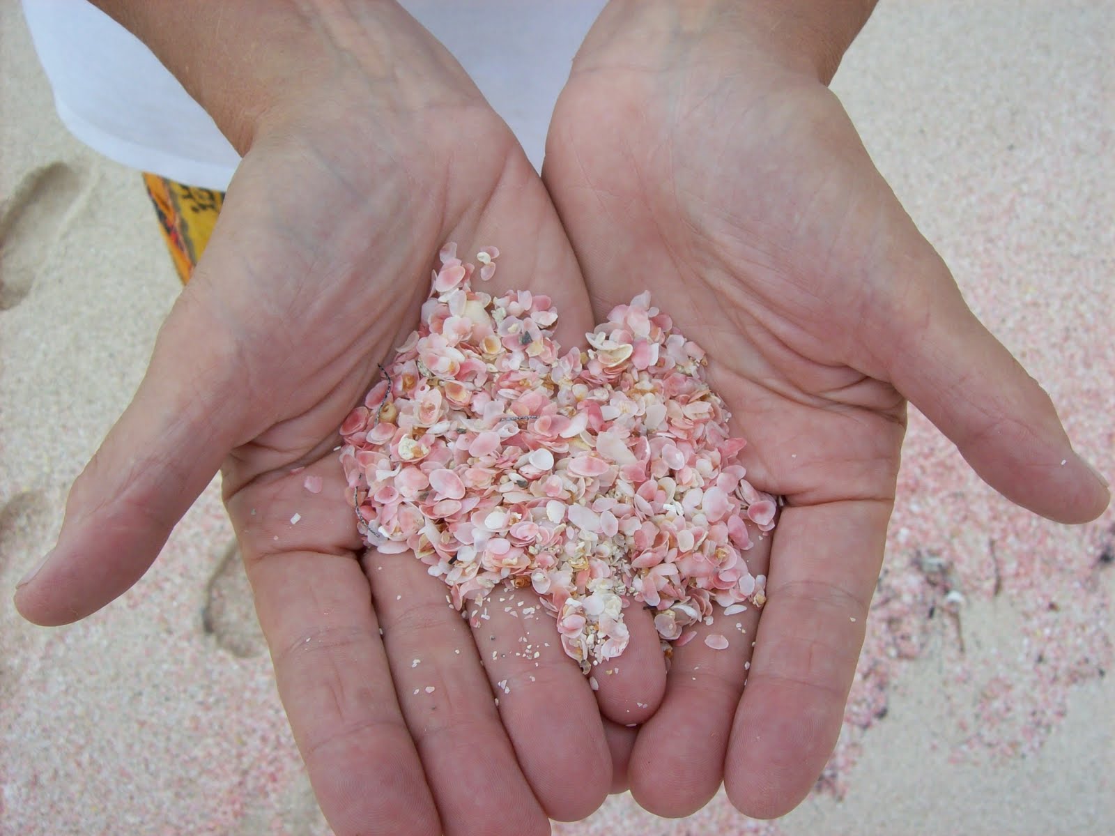 Pink-Sands-Beach-Bahamas